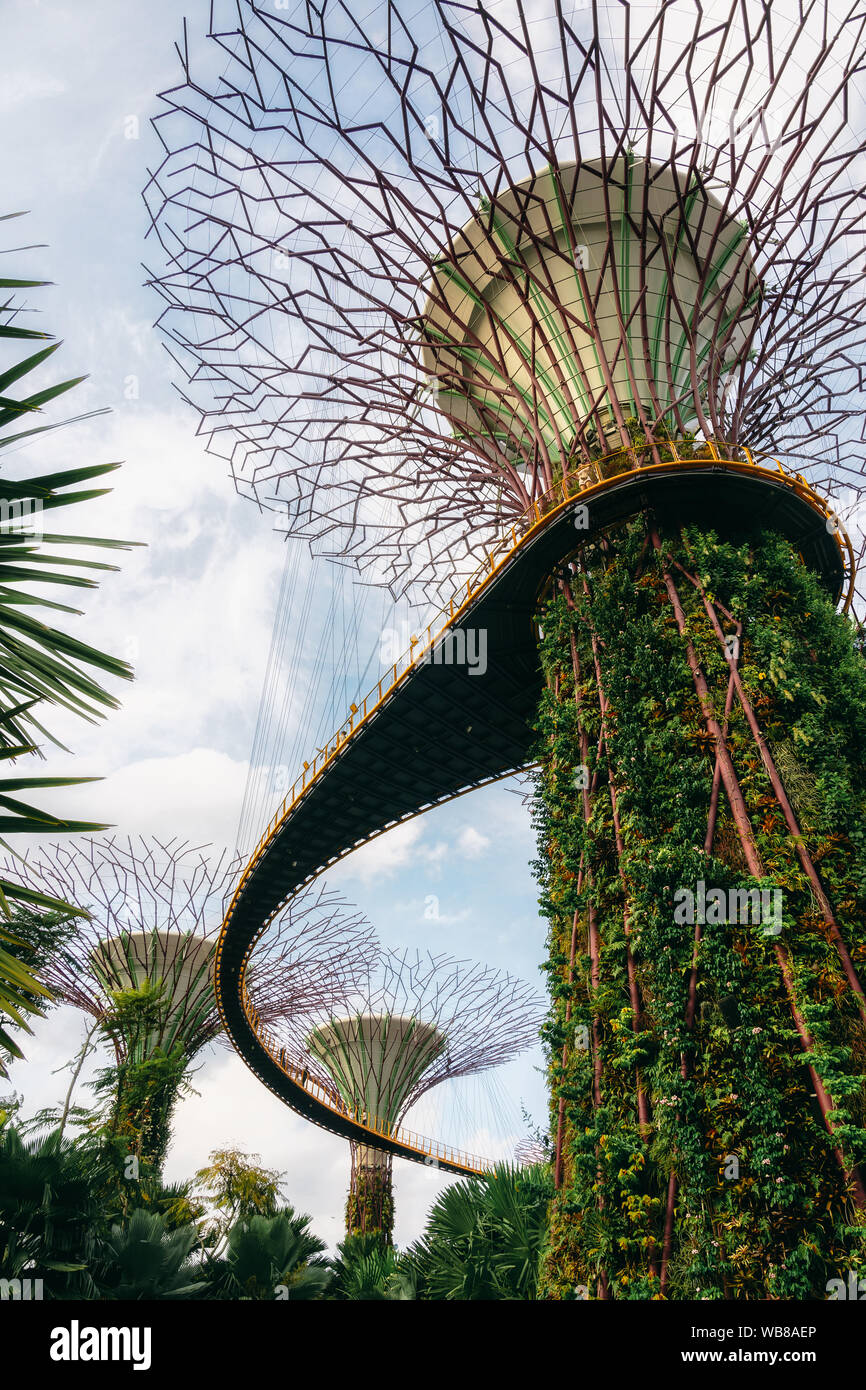Singapour - 2 Avril, 2018 : Jardins de la baie. Les arbres géants futuristes et de magnifiques fleurs roses en parc. Ville de l'avenir concept. Banque D'Images