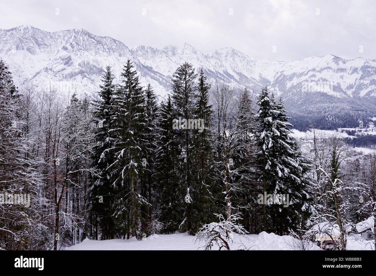 Paysage et paysage d'hiver enneigé dans les mat à Bad Goisern village près de Hallstatt en Autriche. Montagnes alpines, des forêts et d'arbres avec vue sur la neige. Banque D'Images