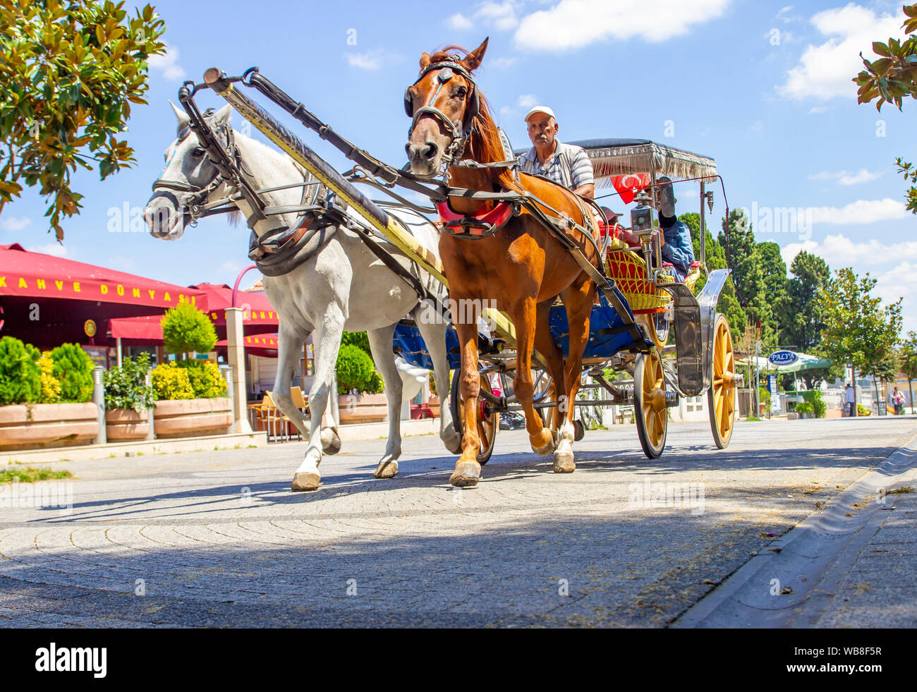 BUYUKADA, Turquie, 26 juillet 2019,cheval et un chariot à dans Îles des Princes Büyükada, Istanbul,Turquie. Les îles du Prince en tournée Phaeton. Connu sous le nom turc Banque D'Images