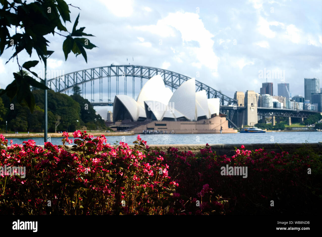 Opéra de Sydney et le Harbour Bridge vue depuis le jardin botanique Banque D'Images