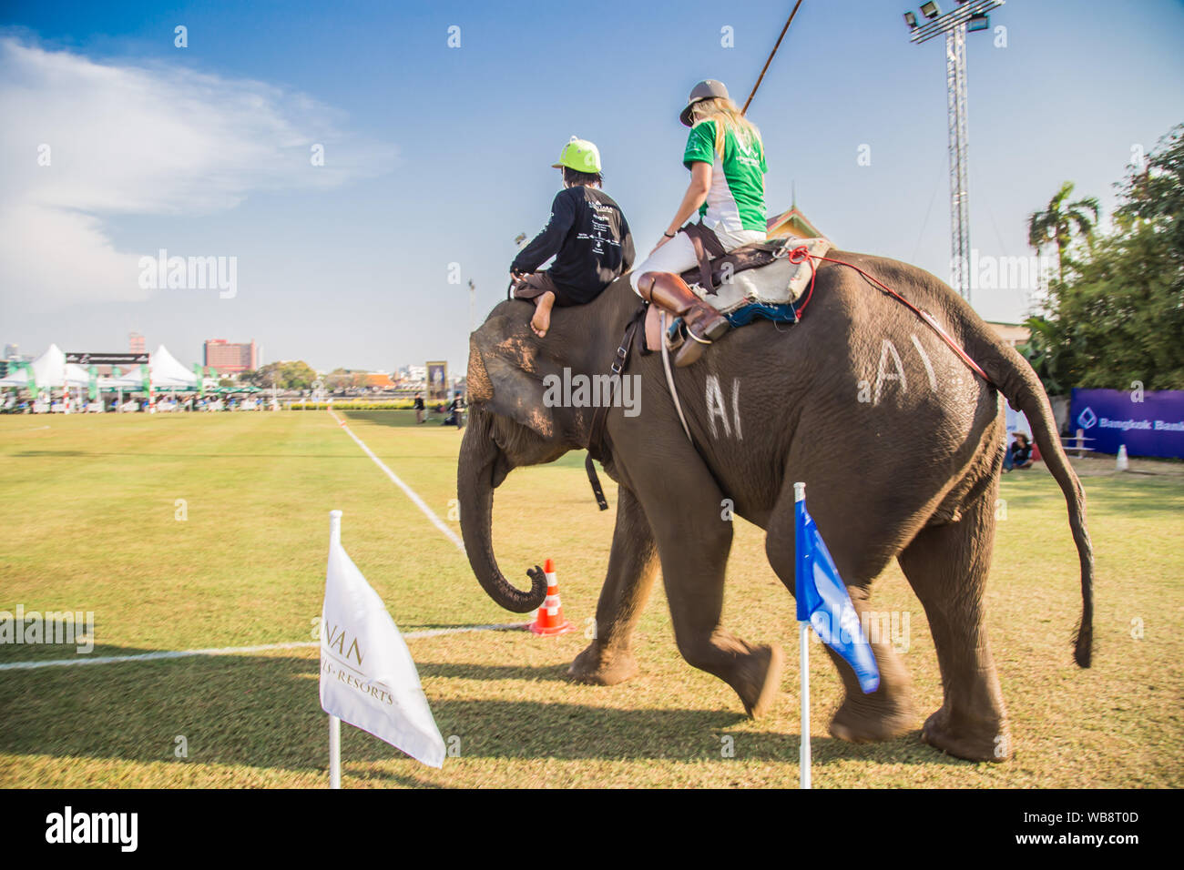 L'événement de l'éléphant polo à Bangkok, Thaïlande riverside Banque D'Images