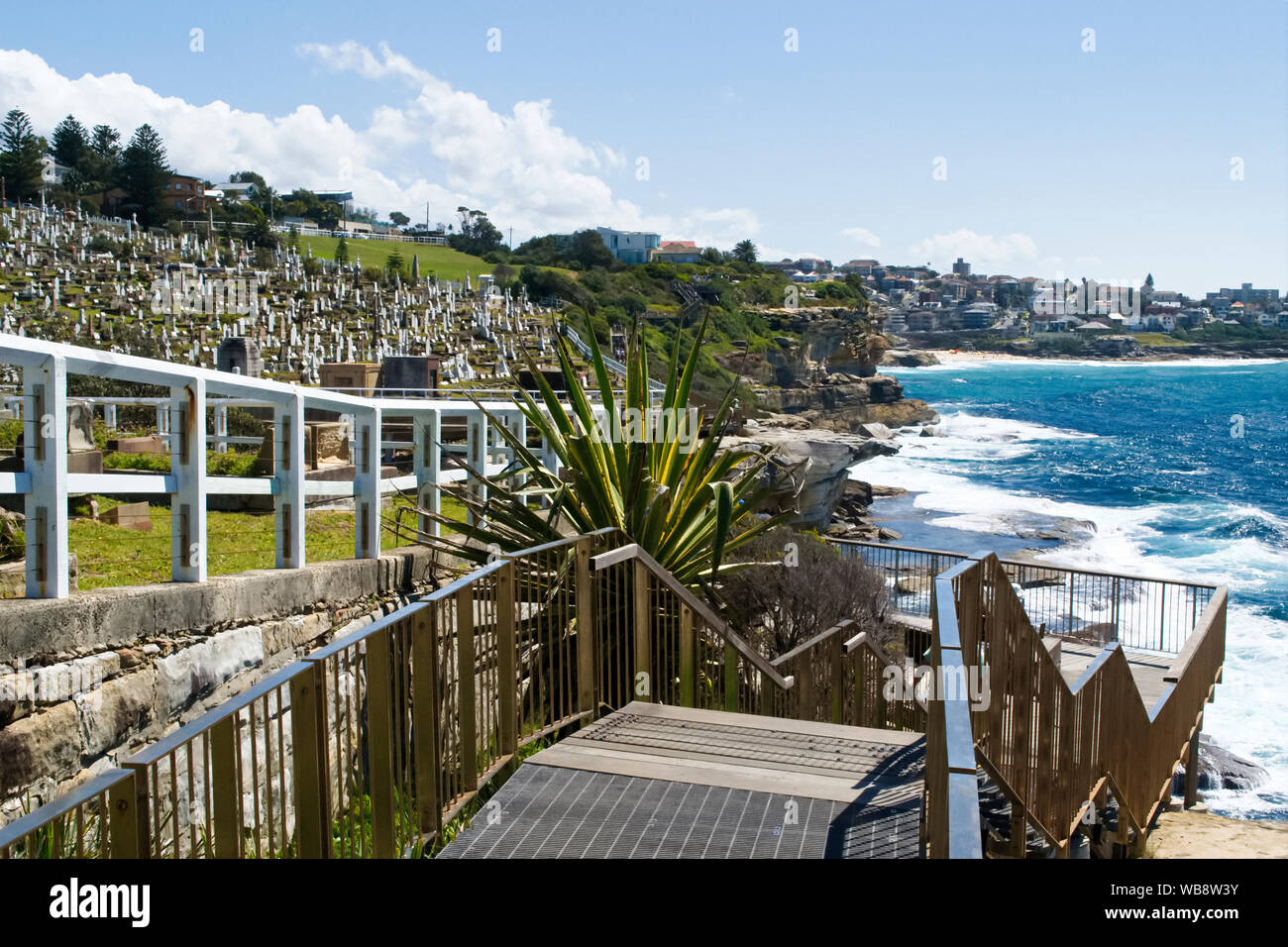 Le cimetière de Waverley, Bondi à Coogee promenade côtière, Sydney, NSW Australie Banque D'Images