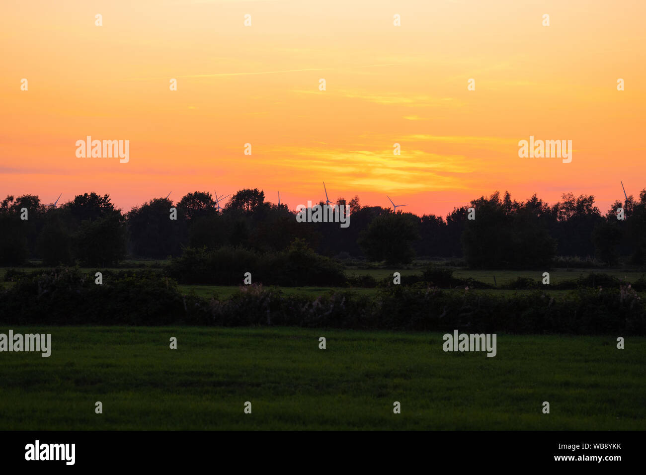 Menace d'un coucher de soleil derrière quelques arbres dans un champ Banque D'Images