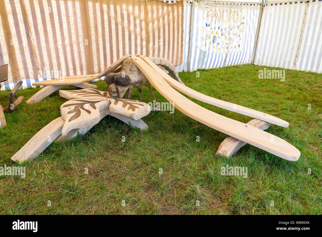 Tabley, Cheshire, Royaume-Uni. Août 25, 2019. La 15e English Open Chainsaw compétition à la Cheshire County Showground, Angleterre - Libellule sur l'affichage Crédit : John Hopkins/Alamy Live News Banque D'Images