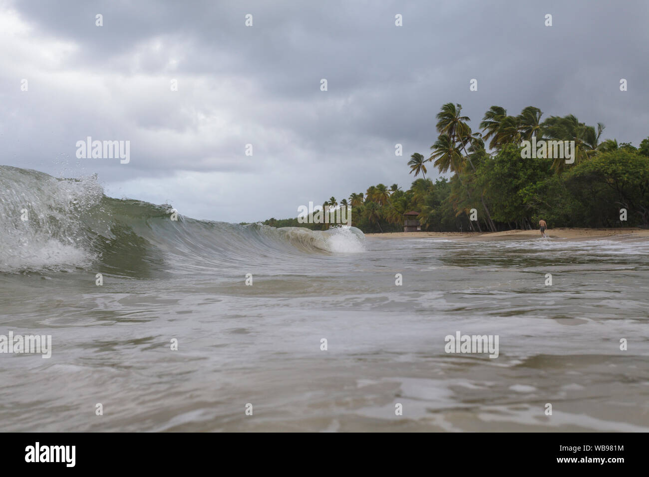 La plage de Les salines près de Sainte Anne, Martinique. Banque D'Images