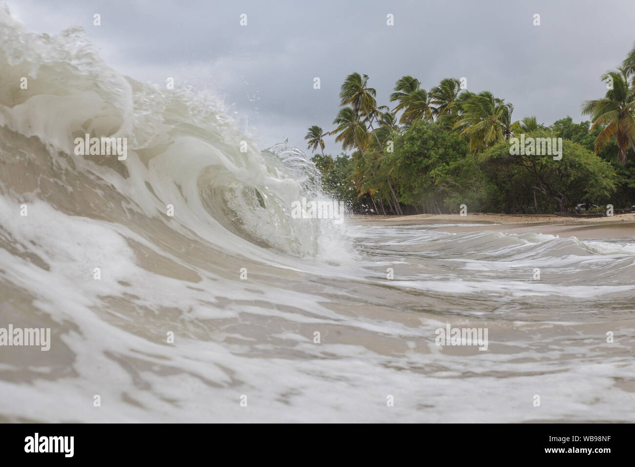 La plage de Les salines près de Sainte Anne, Martinique. Banque D'Images