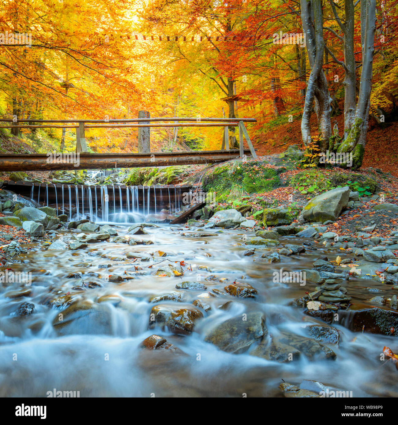 Autumn Forest Park - arbres colorés, petit pont de bois et de pierres de la rivière rapide, paysage d'automne Banque D'Images