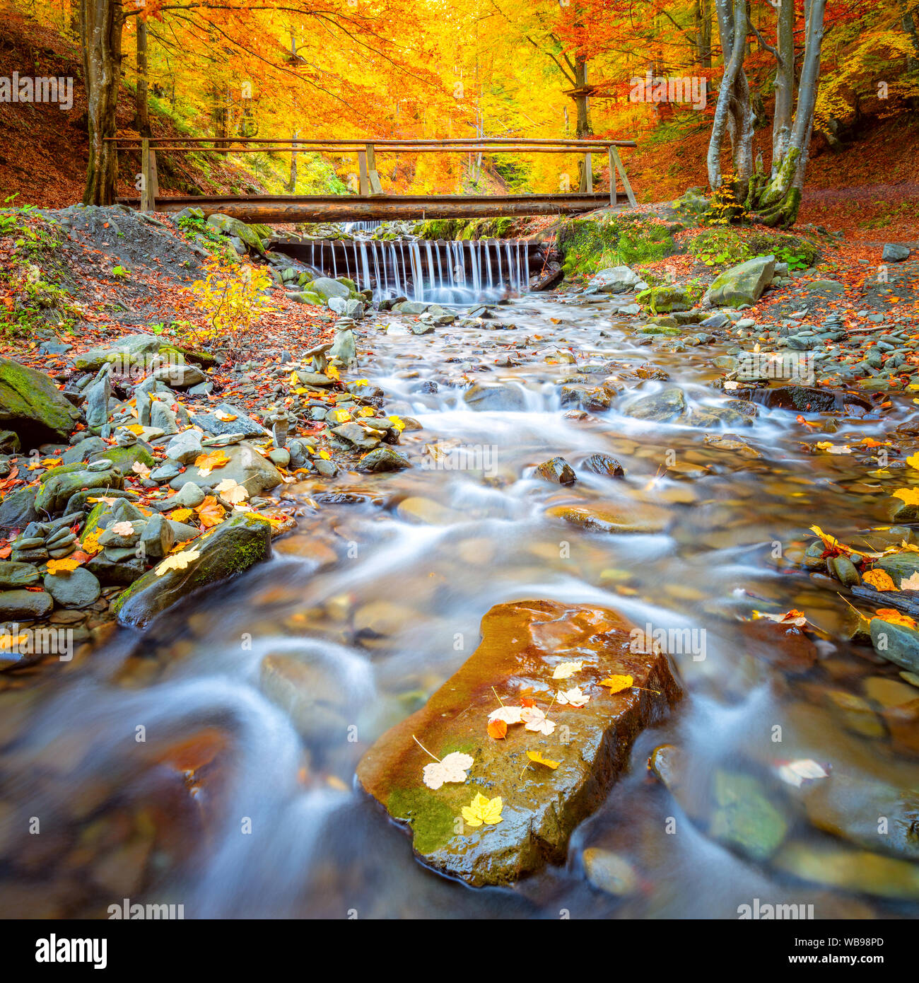 Paysage d'automne - vieux pont en bois fnd river cascade dans le parc de la forêt d'automne avec des feuilles jaunes et de la pierre, de la nature de l'automne Banque D'Images