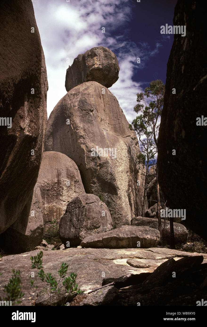 Le Sphinx, le Parc National de Girraween, dans le sud du Queensland, Australie Banque D'Images