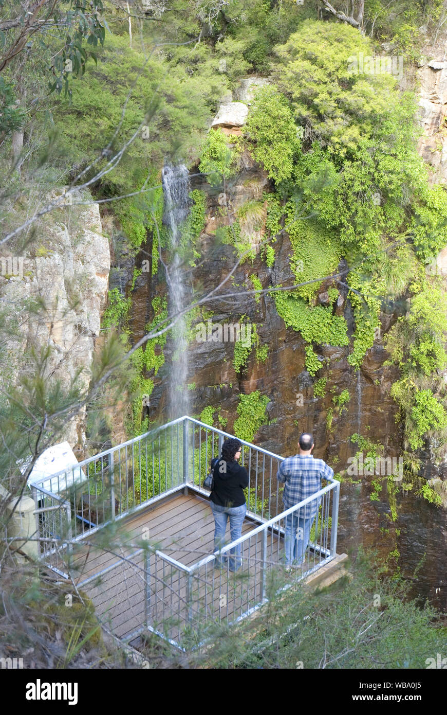 La Reine Mary Falls (40 m), le printemps, un tributaire de la Condamine River. Parc national de main range, Queensland/New South Wales, Australie Banque D'Images