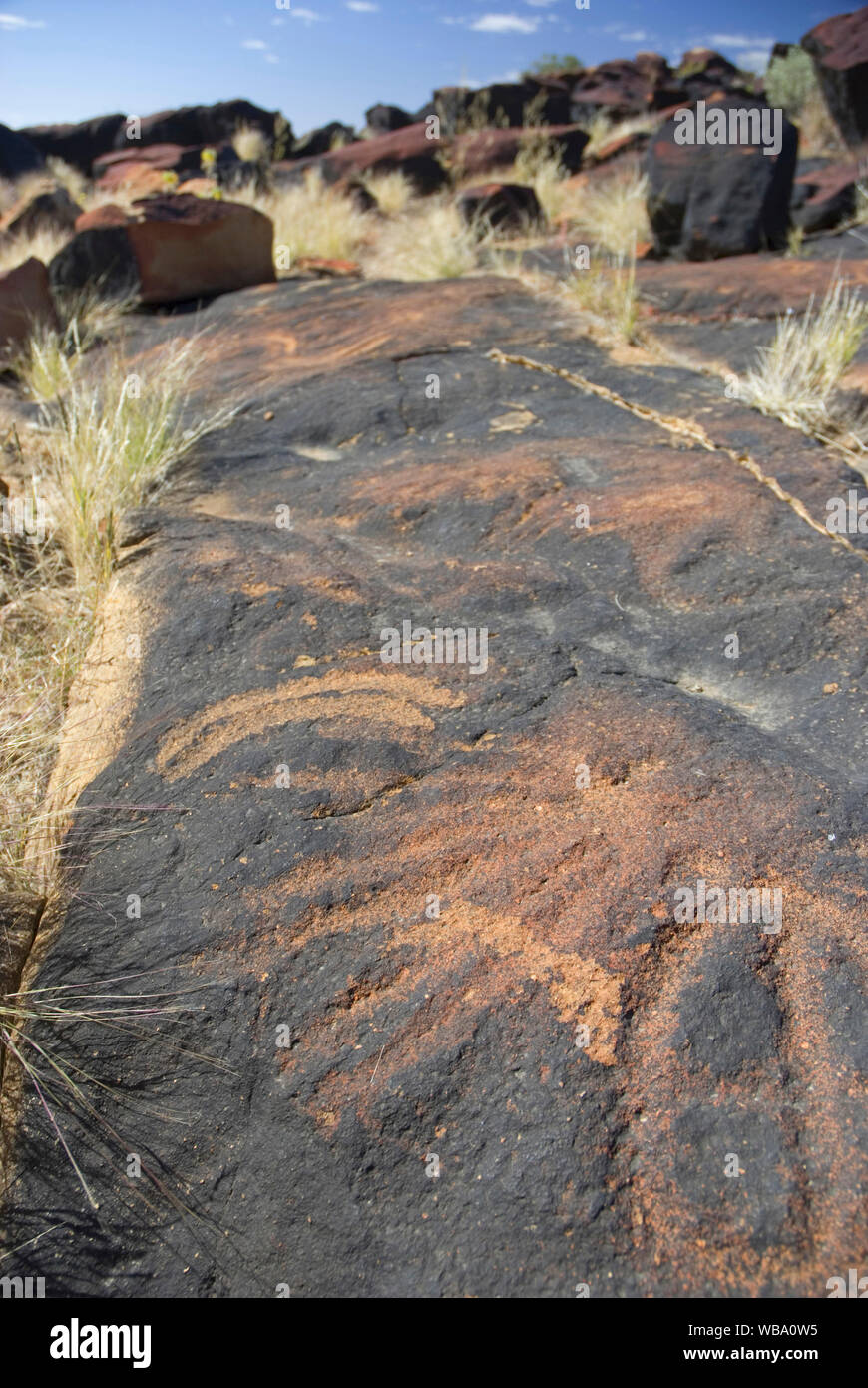 D'anciens pétroglyphes, près de l'Callamurra Waterhole, Innamincka réserve régionale, l'Australie du Sud, Australie Banque D'Images