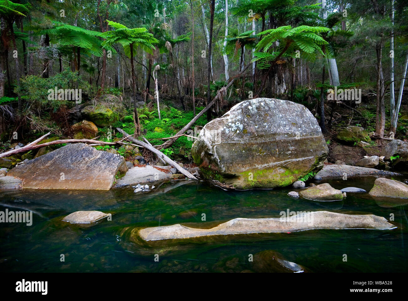 Carnarvon Creek, que les vents de plus de 30 km, de l'eau permanente alimentée par la pluie et les puits artésiens ressorts, il a formé les gorges les caractéristiques physiques et l'als Banque D'Images