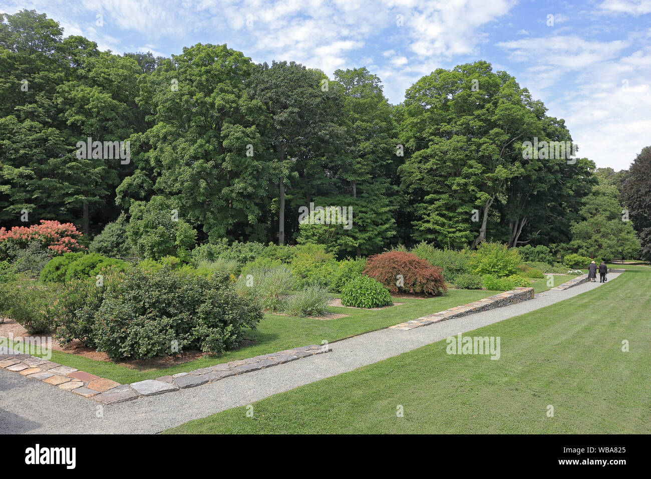 Beau paysage dans Arnold Arboretum de l'Université de Harvard, Boston, Massachusetts Banque D'Images