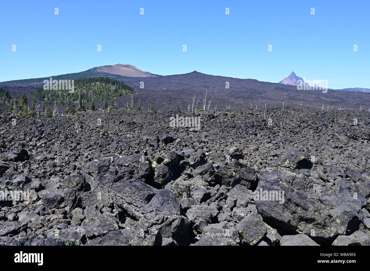 Des champs de lave dans la forêt nationale de Willamette vu de Dee Wright observatoire près de Sœurs, de l'Oregon. Banque D'Images