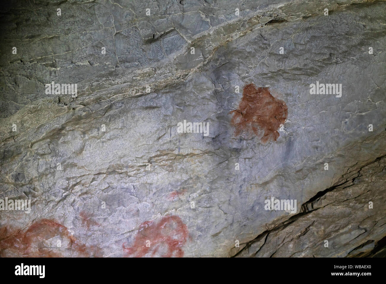 Image d'un animal ancien mammouth. cave. ocre Dessin Peinture préhistorique Banque D'Images