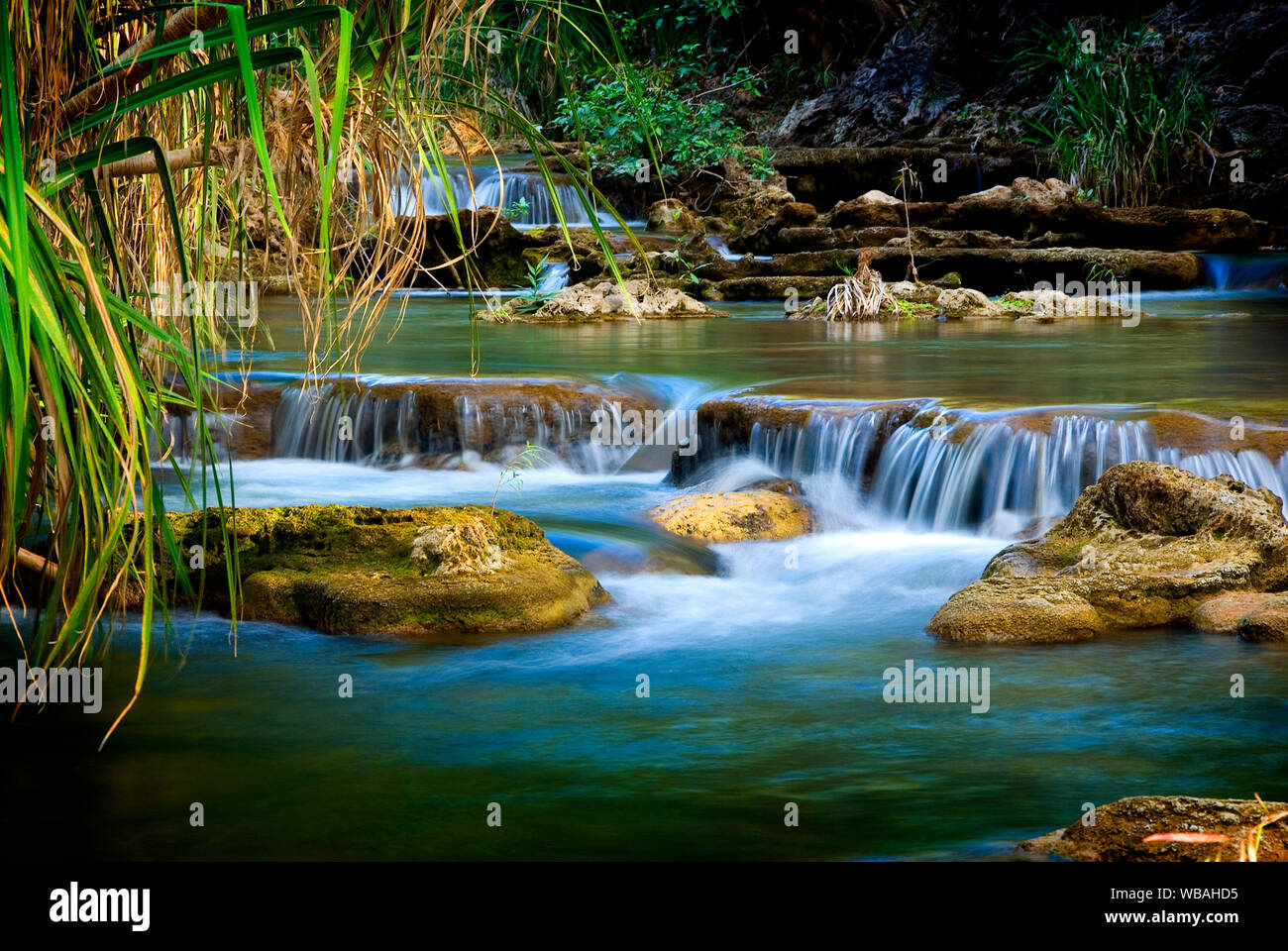 Les Cascades le Lawn Hill Creek, dans le bas de la gorge. Boodjamulla (Lawn Hill) National Park, dans le Queensland, Australie Banque D'Images