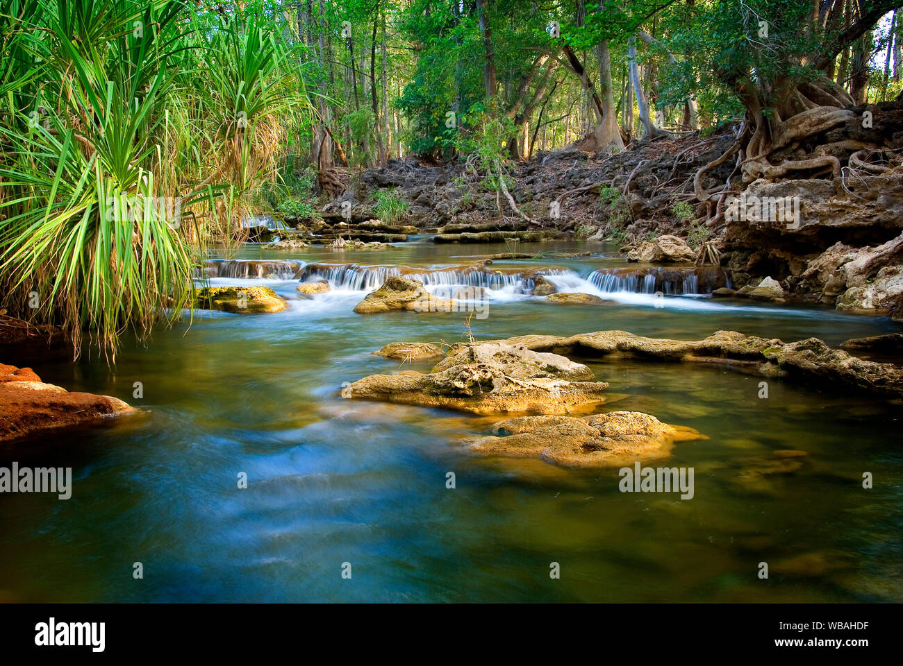 Les Cascades le Lawn Hill Creek, dans le bas de la gorge. Boodjamulla (Lawn Hill) National Park, dans le Queensland, Australie Banque D'Images