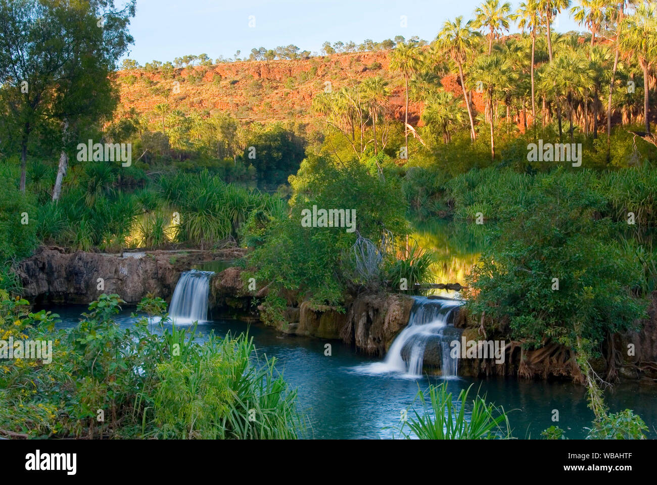 Indarri Falls on Lawn Hill Creek, à partir de la gorge à milieu gorges.. Boodjamulla (Lawn Hill) National Park, dans le Queensland, Australie Banque D'Images