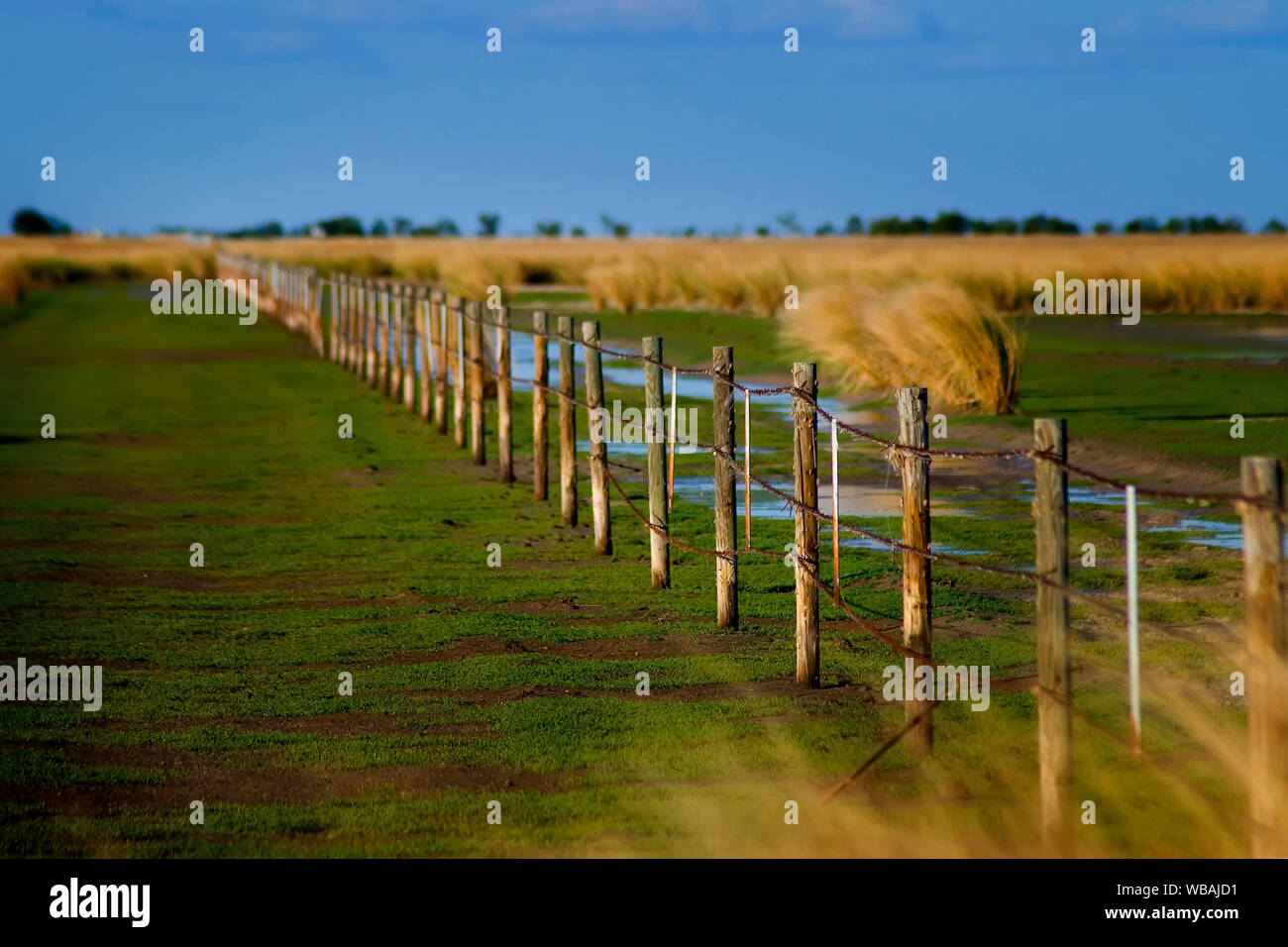 Les plaines entourant le canton, en commençant à sécher après la fin de la saison des pluies.. Karumba, Gulf Savannah, Queensland, Australie Banque D'Images