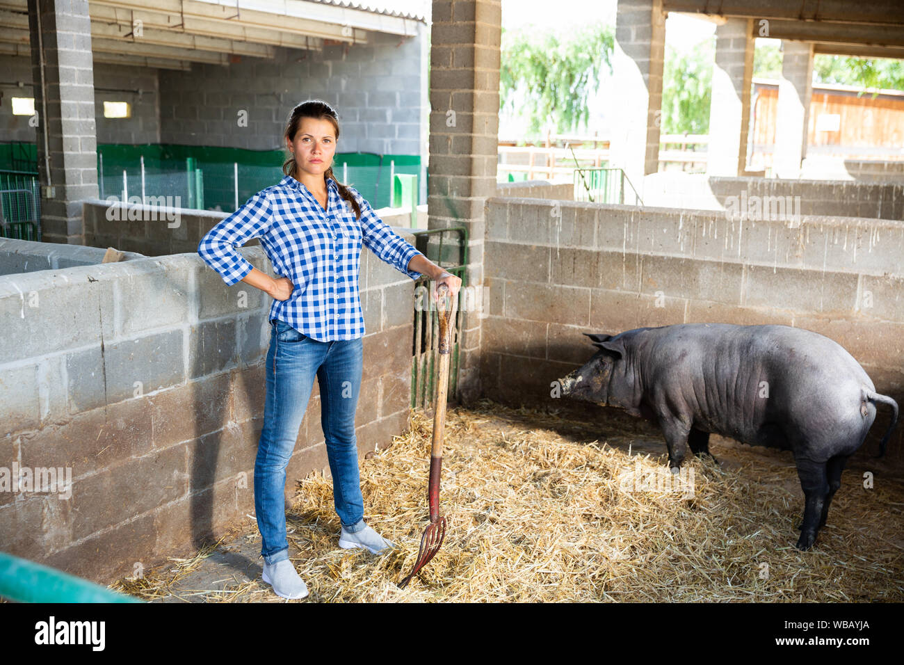 Portrait of female farmer nourrir les porcs ibériques sur farm Banque D'Images