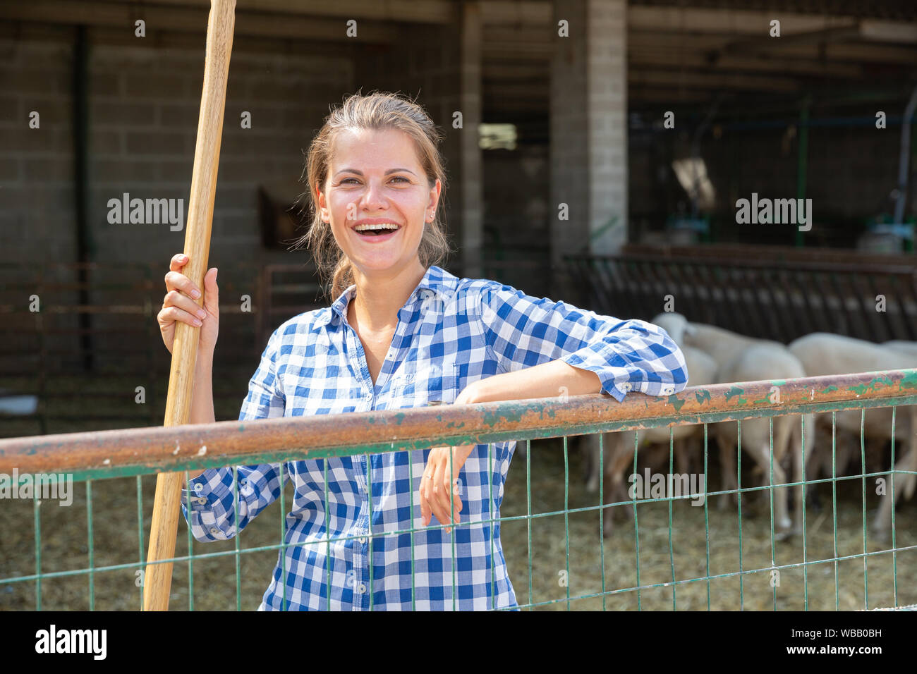 Jeune femme debout sur son ranch sur l'arrière-plan avec moutons dans stall Banque D'Images
