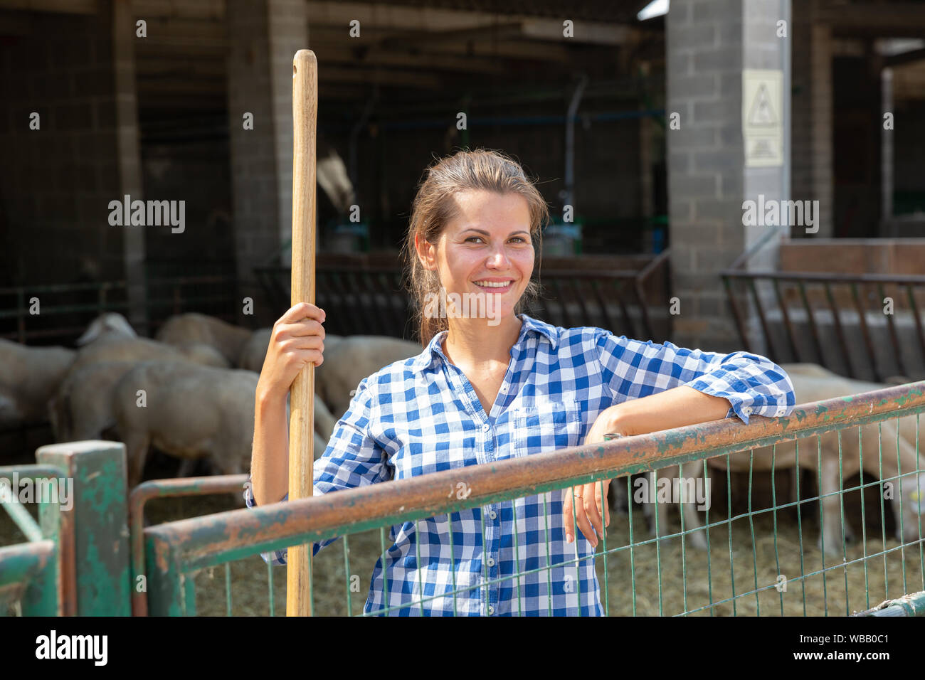 Portrait d'une fermière engagés dans l'élevage des moutons debout dans l'enceinte extérieure Banque D'Images