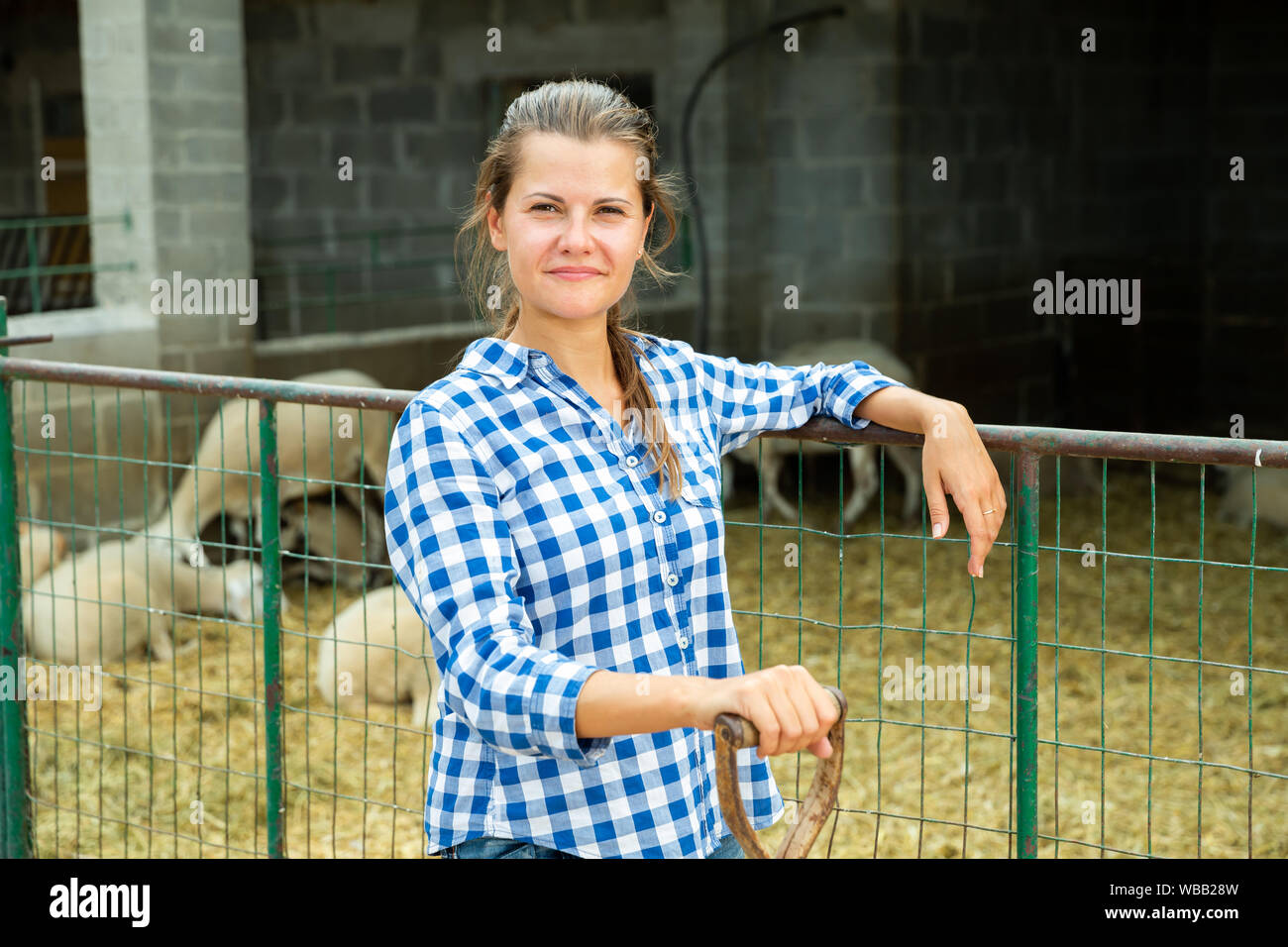 Professionnels confiants jeune femme éleveur de moutons, debout près de l'escrime de décrochage à l'extérieur Banque D'Images