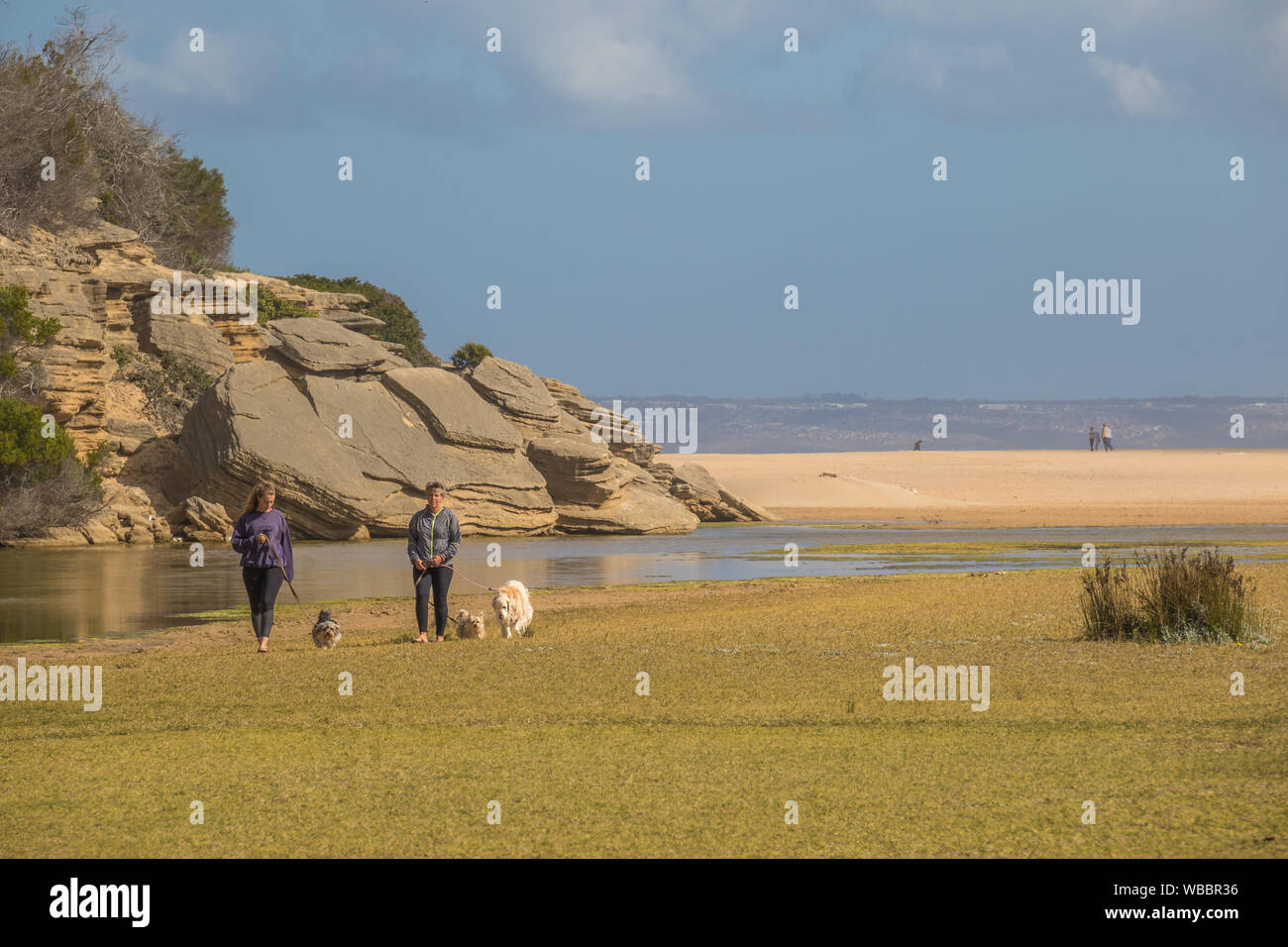 Mossel Bay, Afrique du Sud - les résidents non identifiés à pied leurs chiens à l'île à l'embouchure de la Grande Rivière Brak image en format paysage Banque D'Images