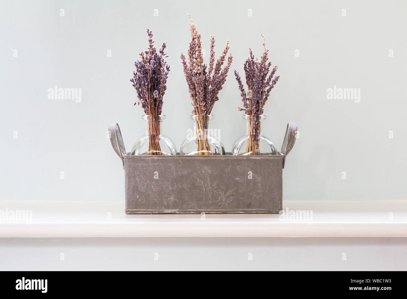 La lavande séchée dans un métal à l'intérieur du semoir, ornement ou  décoration Photo Stock - Alamy