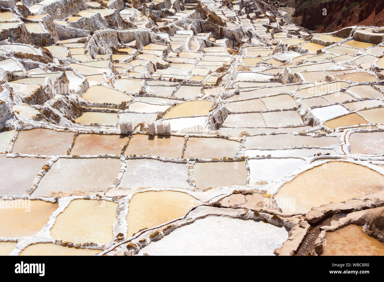 Terrasses de sel appelé "alineras de Maras' dans la région de Cusco, Pérou Banque D'Images