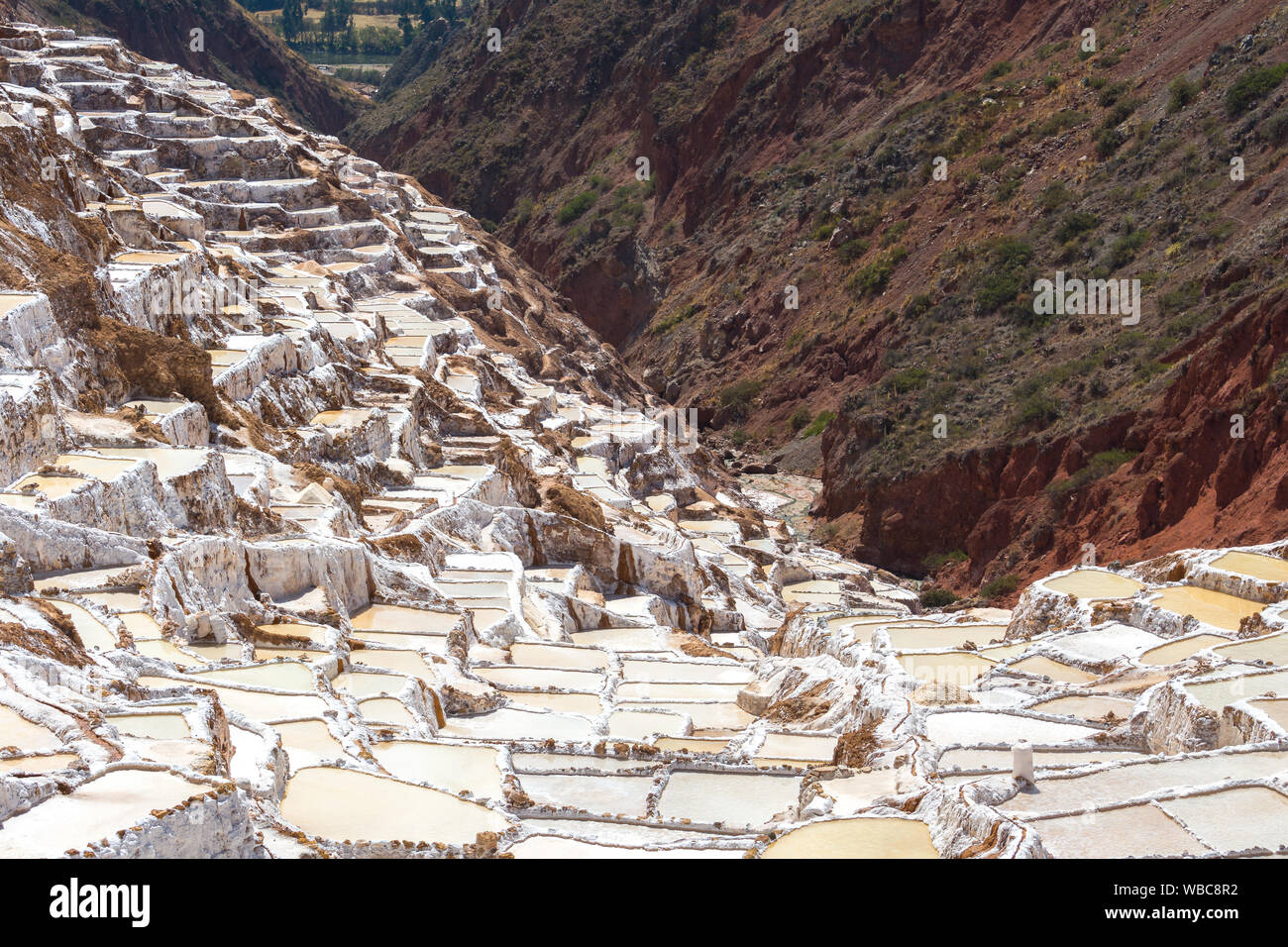 Terrasses de sel appelé "alineras de Maras' dans la région de Cusco, Pérou Banque D'Images