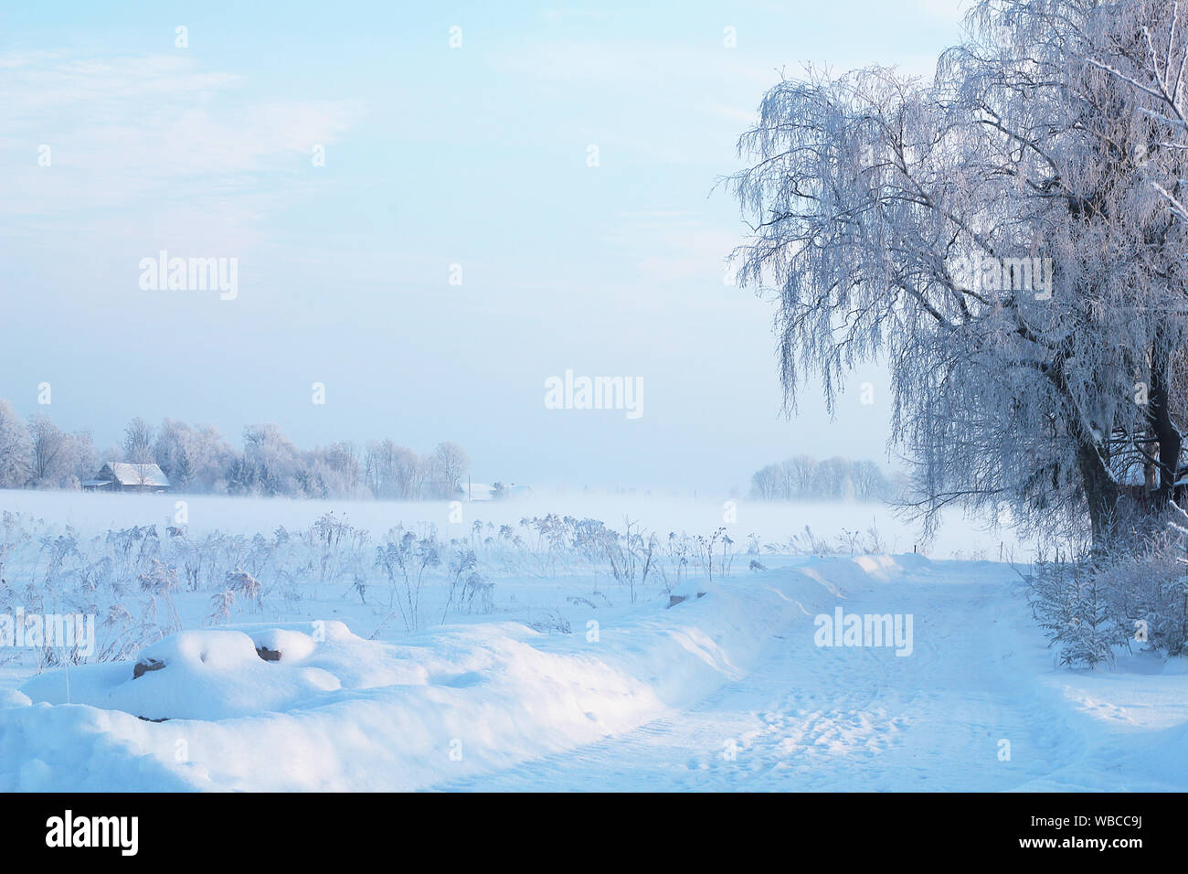 Beau bleu pastel hiver rural paysage avec des arbres et une maison à distance et de copie de ciel vide de l'espace. Winter Wonderland concept Banque D'Images