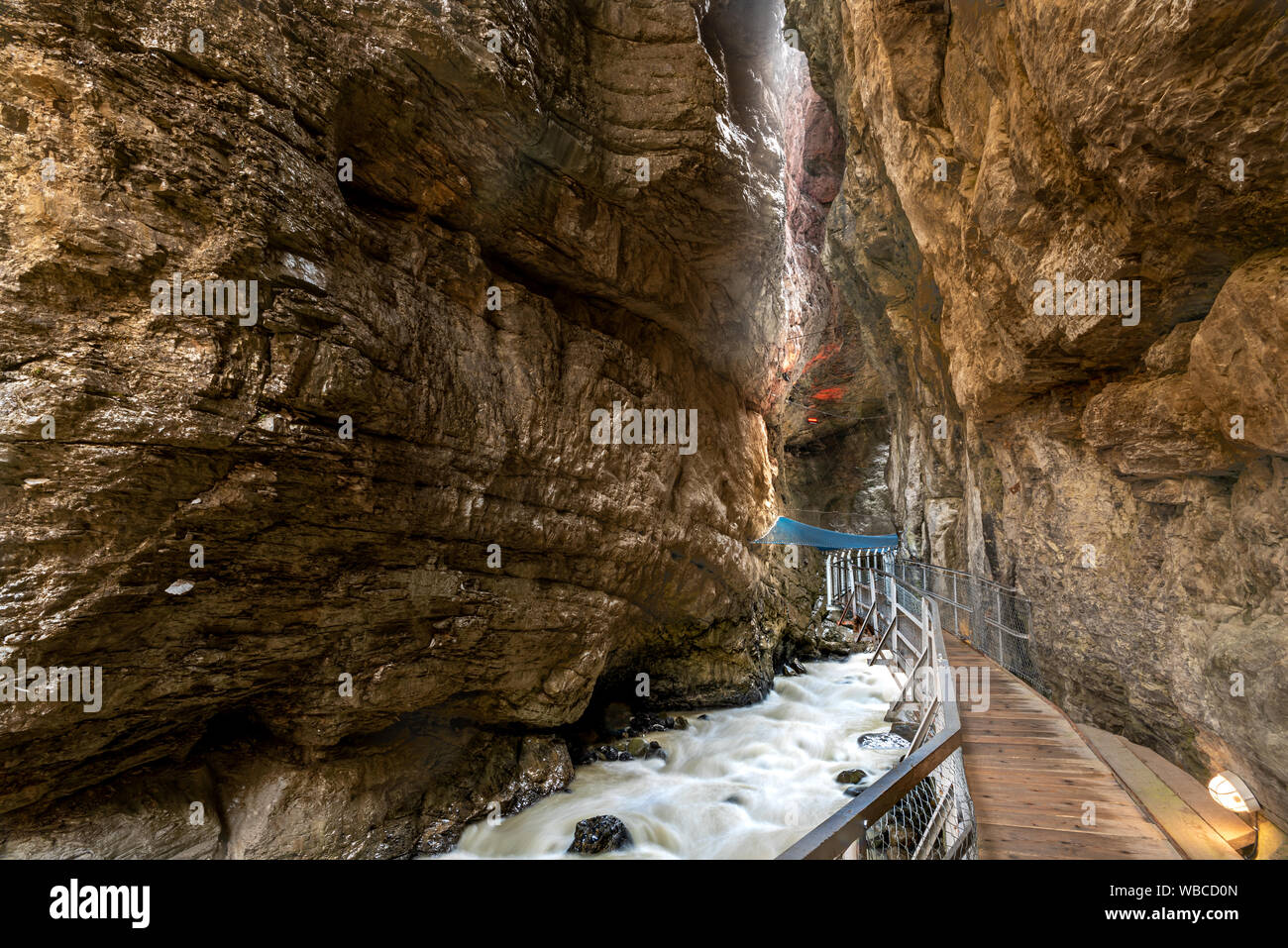 Gorges du glacier avec la rivière Weisse Lutschine et le sartia Spiderweb, Grindelwald, Oberland Bernois, Suisse, Europe Banque D'Images