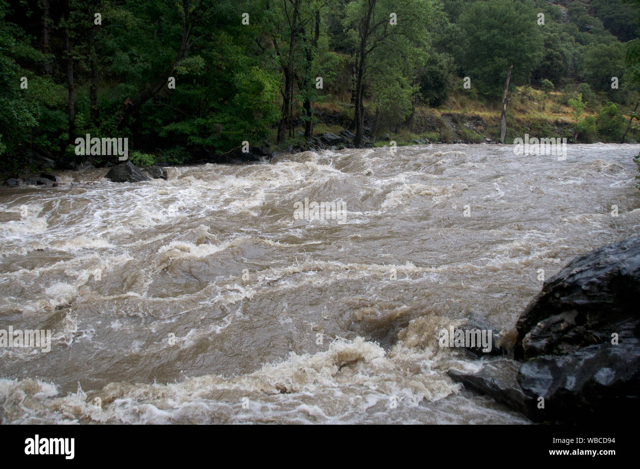 Le débit de la rivière sauvage sur la rivière Noguera Pallaresa entre trier et Llavorsi, Catalogne Espagne Banque D'Images