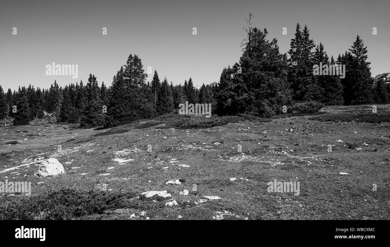 B&W mountainscape, Vercors, Corrençon, Isère, France Banque D'Images