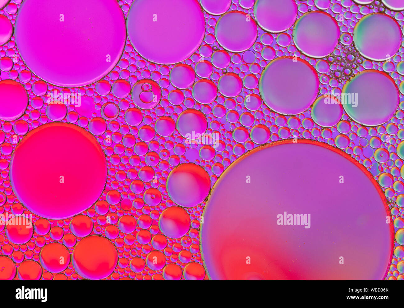 Motifs de bulles multicolores formés par l'huile flottant sur l'eau Banque D'Images