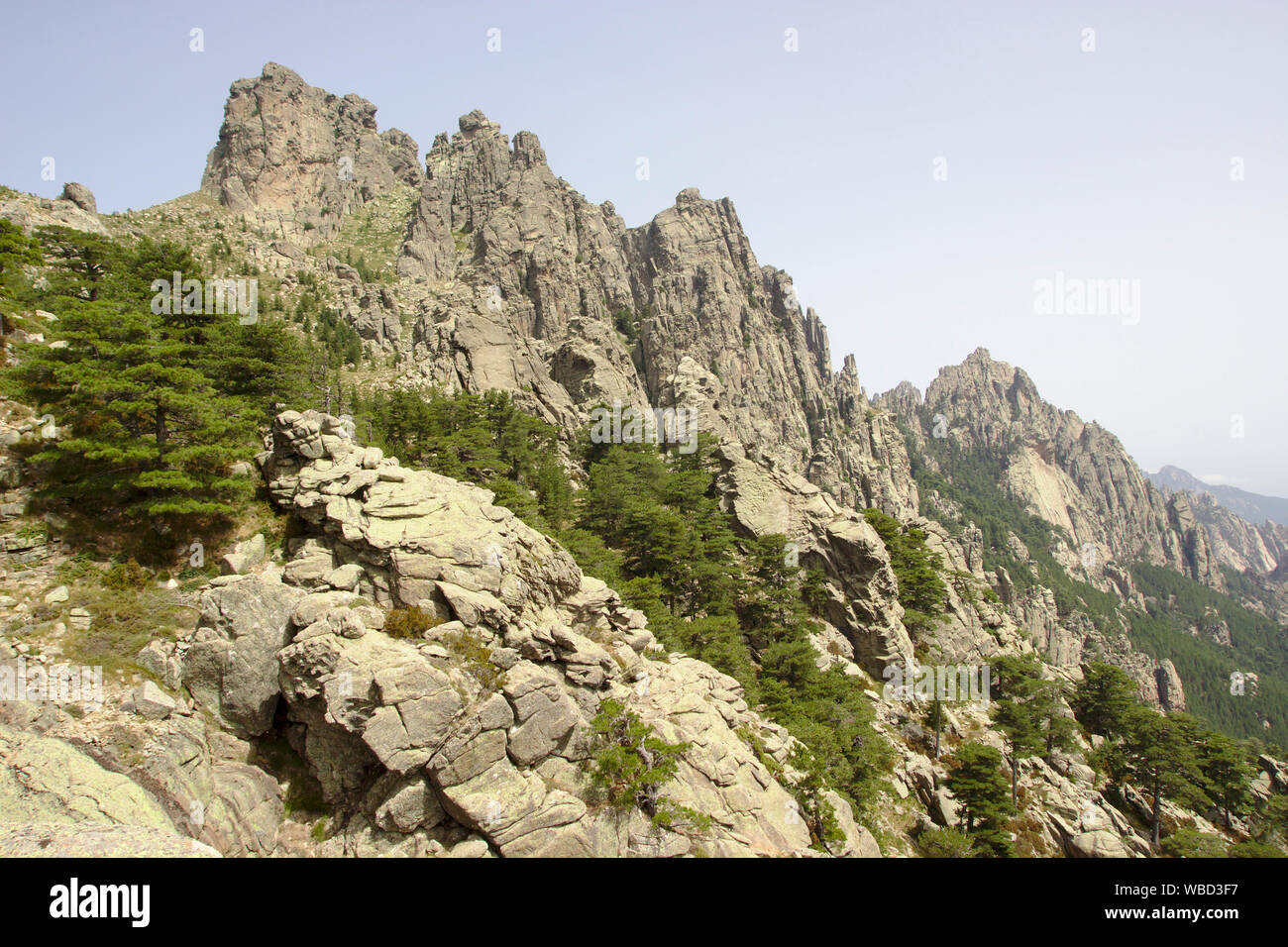 Les Aiguilles de Bavella, France, Corse, alpine variation du GR20 Banque D'Images