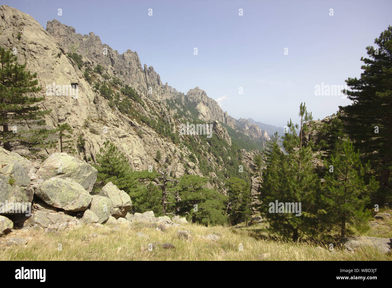 Les Aiguilles de Bavella, France, Corse, alpine variation du GR20 Banque D'Images