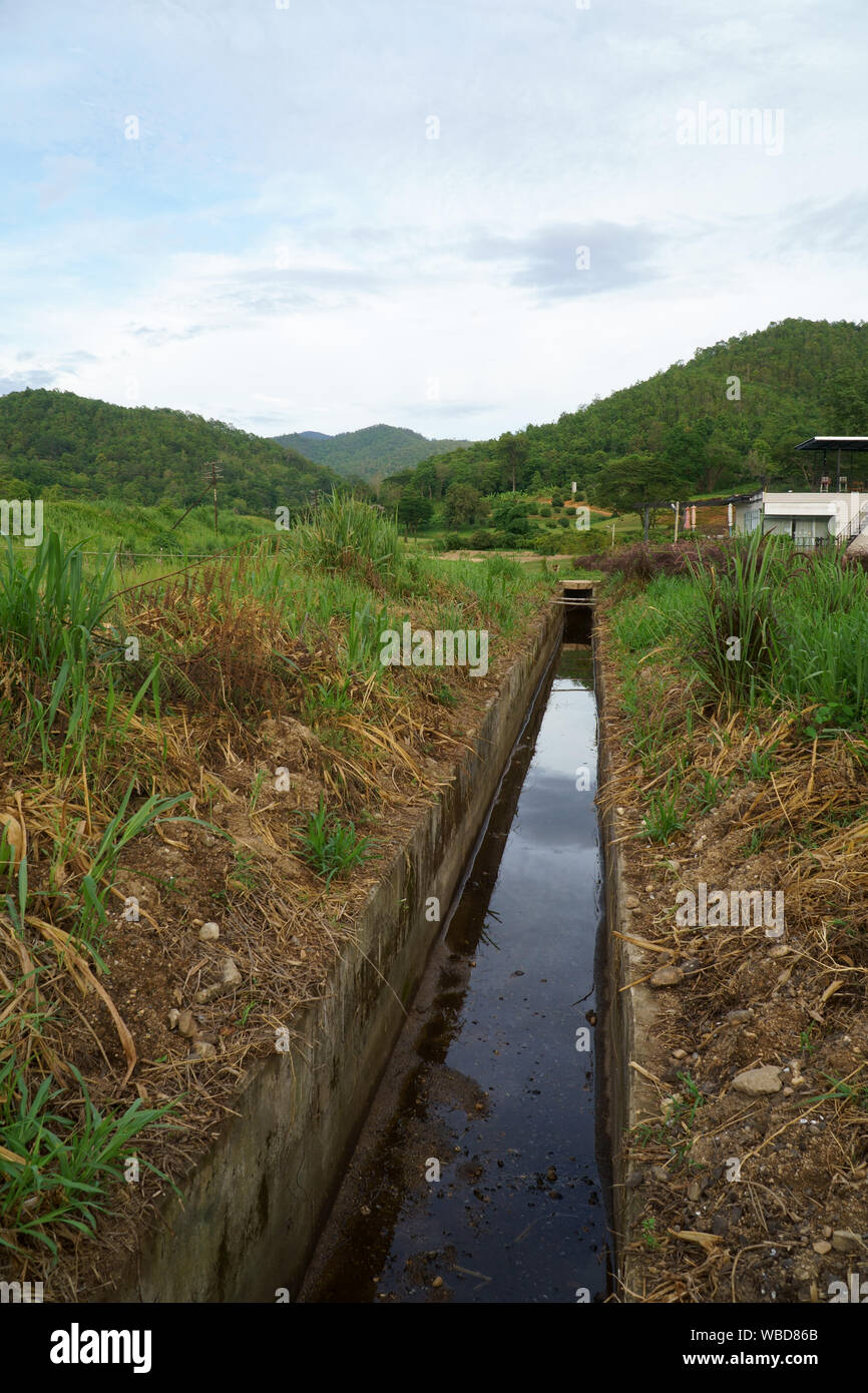Canal de l'eau d'irrigation en passant par l'agriculture Banque D'Images