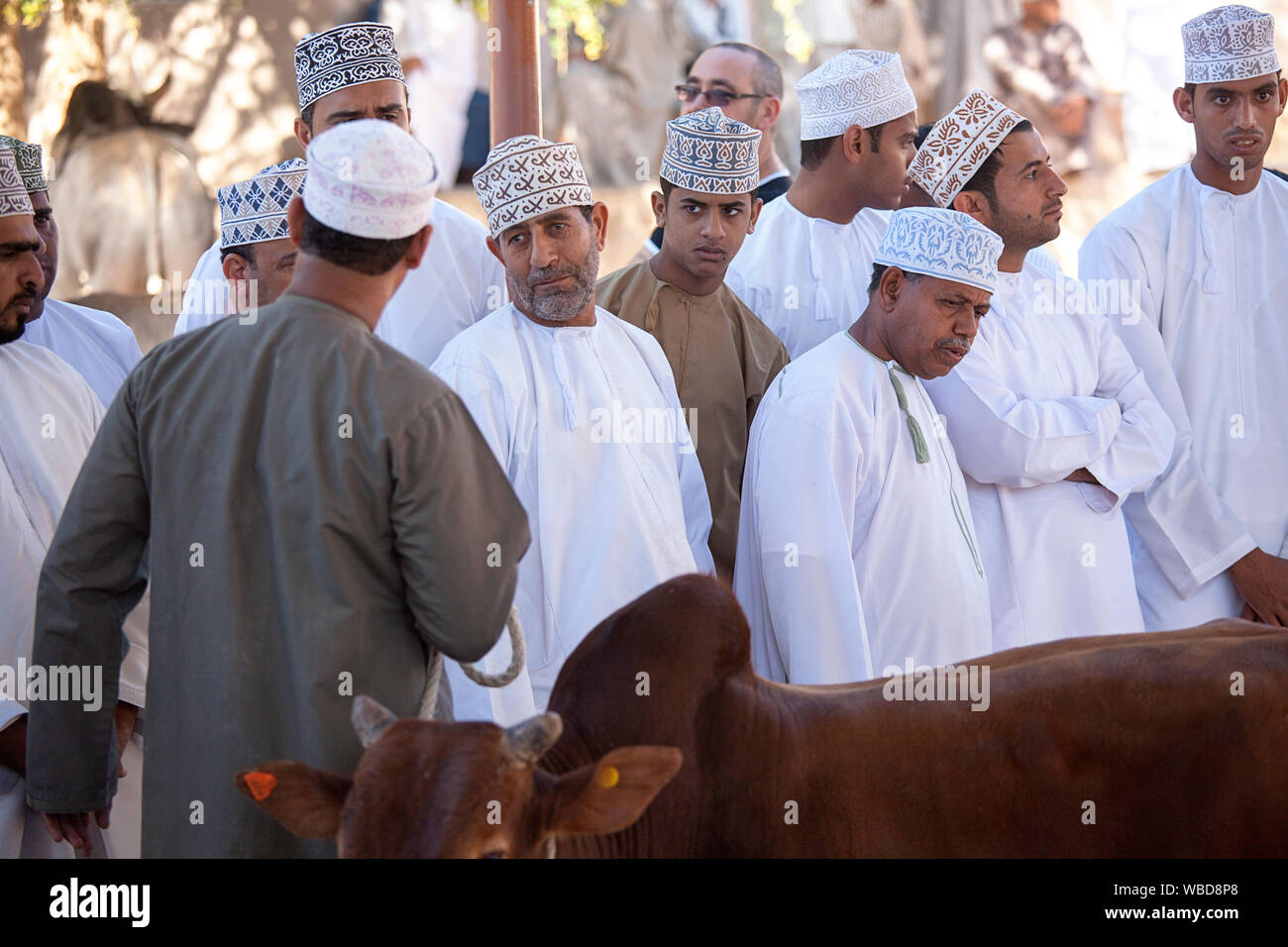 Les hommes portant des tenues traditionnelles et les bouchons brodé au marché au bétail, Nizwa, Sultanat d'Oman Banque D'Images