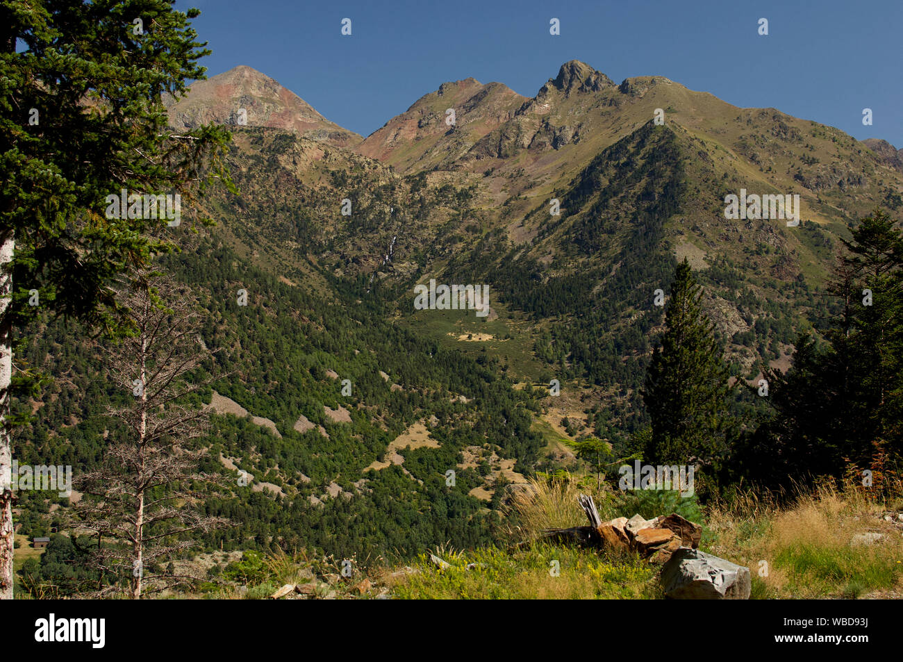 Val de Ferrera dans les Pyrénées Catalanes Banque D'Images