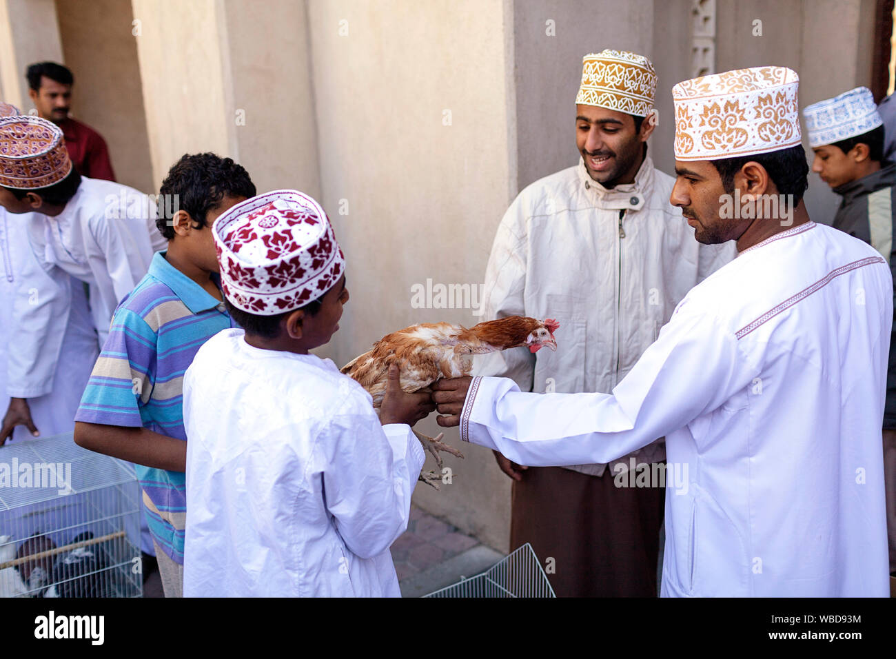 Les hommes achètent du poulet au marché au bétail, Nizwa, Sultanat d'Oman Banque D'Images
