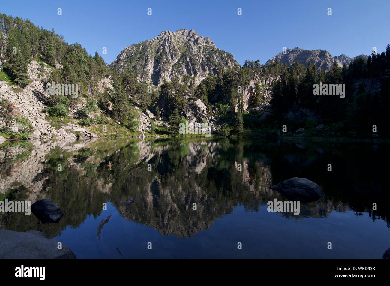 Réflexion sur le lac Gerber Gerber dans la vallée de l'Aigues Tortes Parc National dans les Pyrénées Catalanes. Banque D'Images