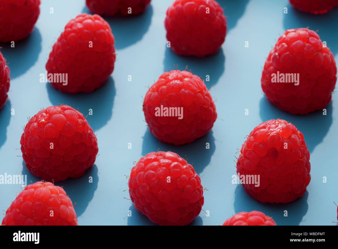 Close up of red raspsberry dans une assiette bleue Banque D'Images