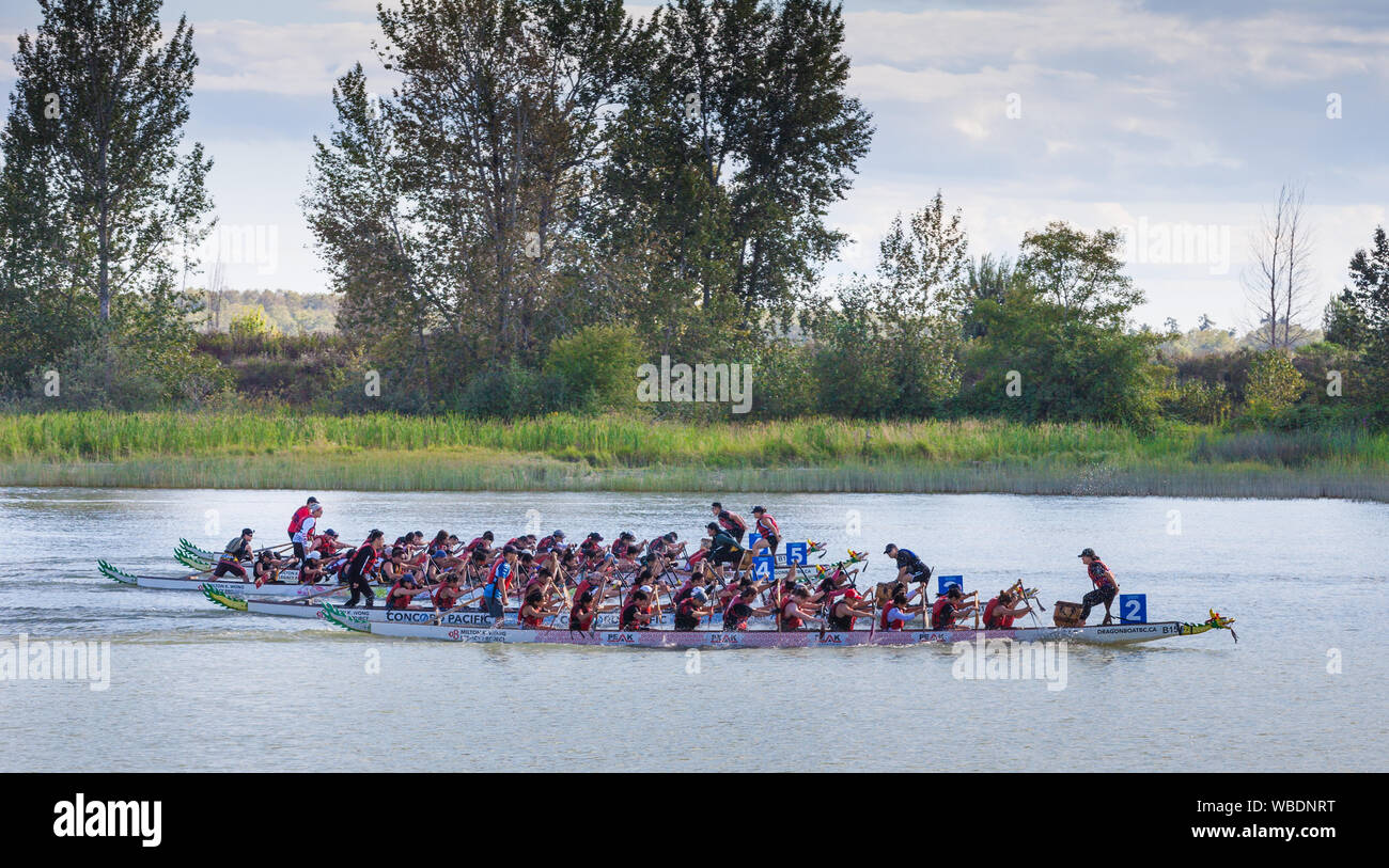 Grande finale de la Steveston 2019 Dragon Boat Festival in British Columbia Canada Banque D'Images