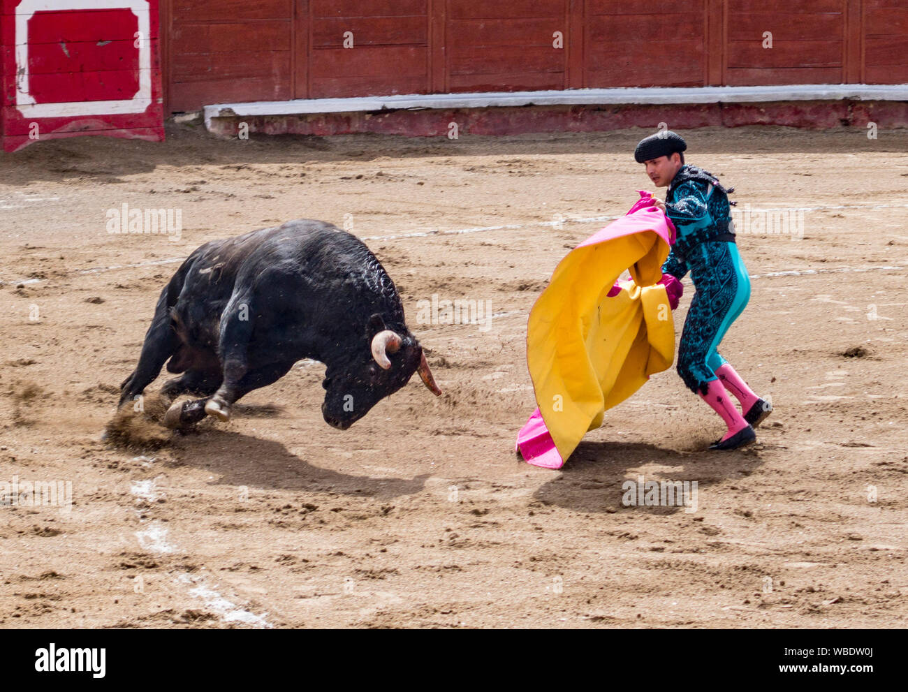 Torero dans l'anneau avec Bull en Banos, Equateur le Feb 15, 2015 Banque D'Images