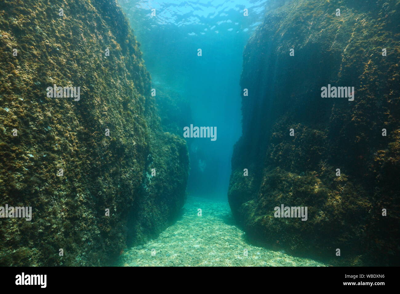 Un étroit passage entre de gros rochers sous l'eau dans la mer Méditerranée, l'Espagne, Costa Brava, Aigua Xelida, Palafrugell, Catalogne Banque D'Images