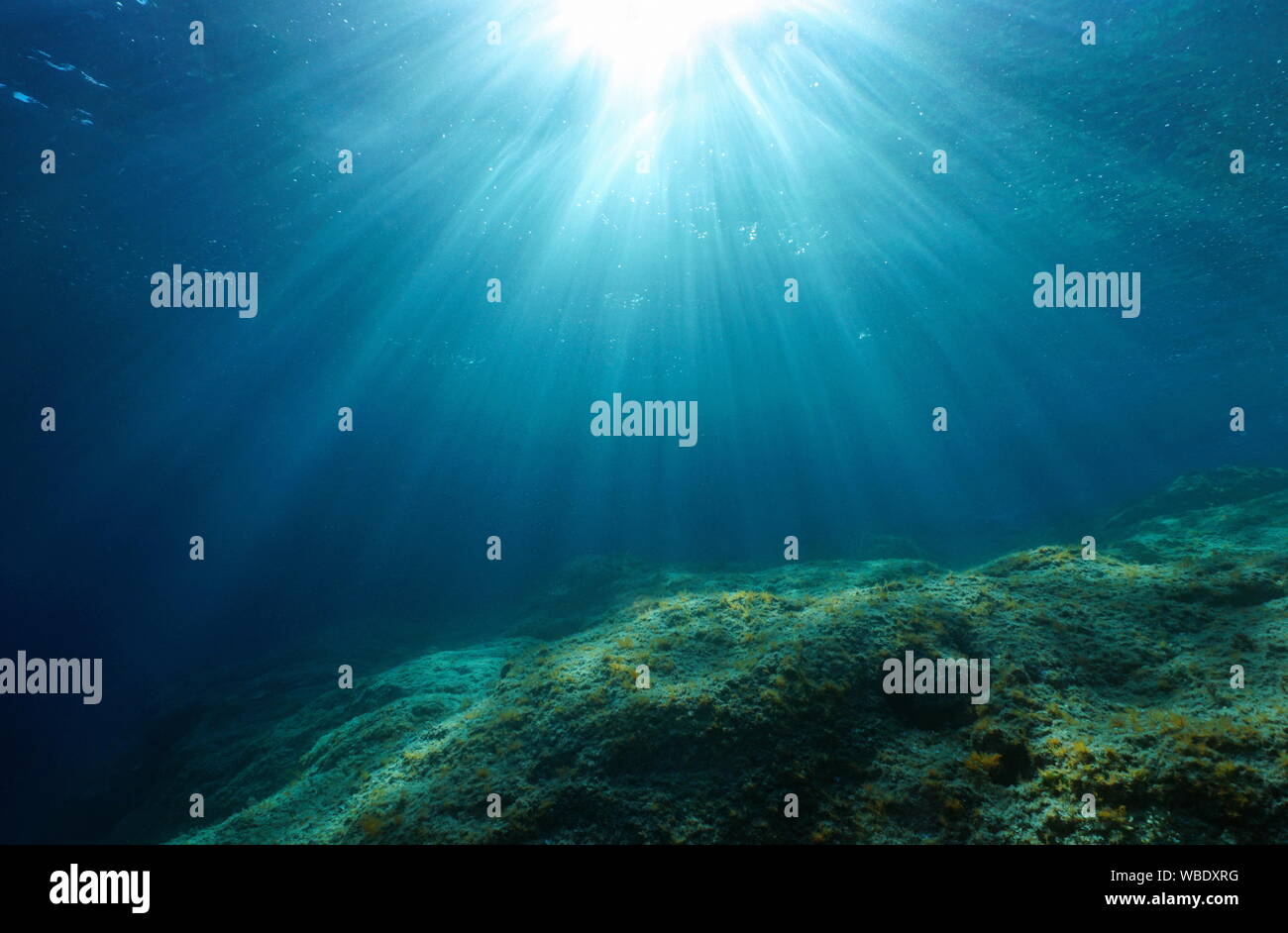 La lumière naturelle du soleil et des fonds marins rocheux sous l'eau dans la mer Méditerranée, Côte d'Azur, France Banque D'Images