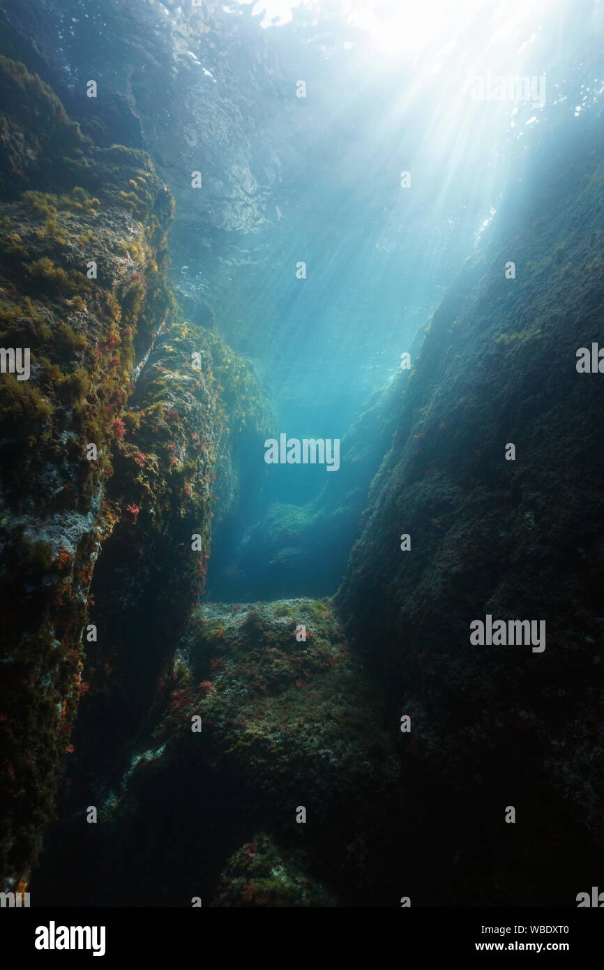 Les roches et naturelle du soleil sous l'eau dans la mer Méditerranée, l'Espagne, Costa Brava Banque D'Images