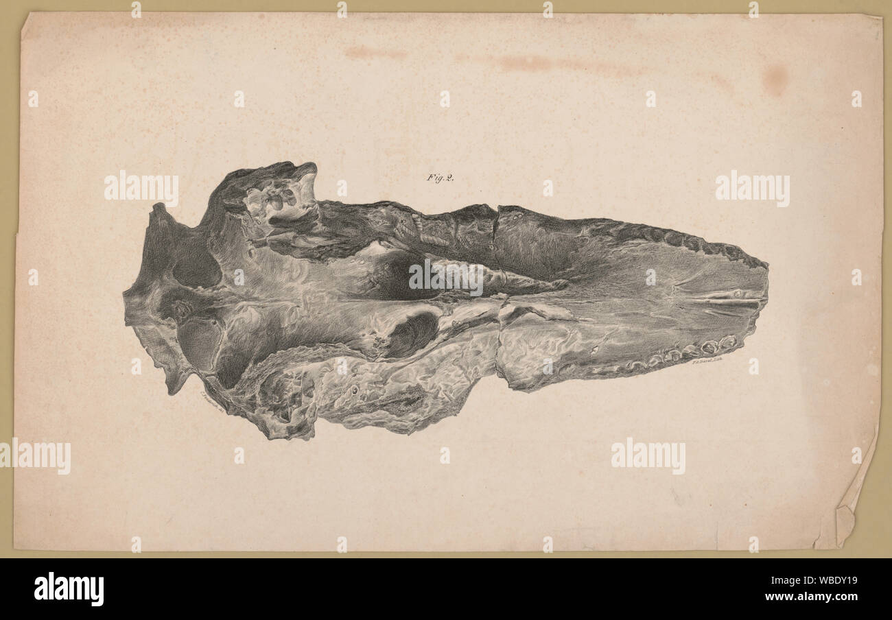 Combustibles, fig. 2] Fenderich / C. del. P.S. ; Duval, Lith Abstract/moyenne : 1 feuille d'impression : lithographie ; 32,4 x 52,2 cm. Banque D'Images